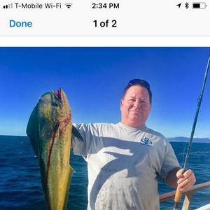 Meet your Posher, Bill